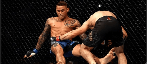 Как знание стратегий и стилей бойцов ММА поможет в ставках